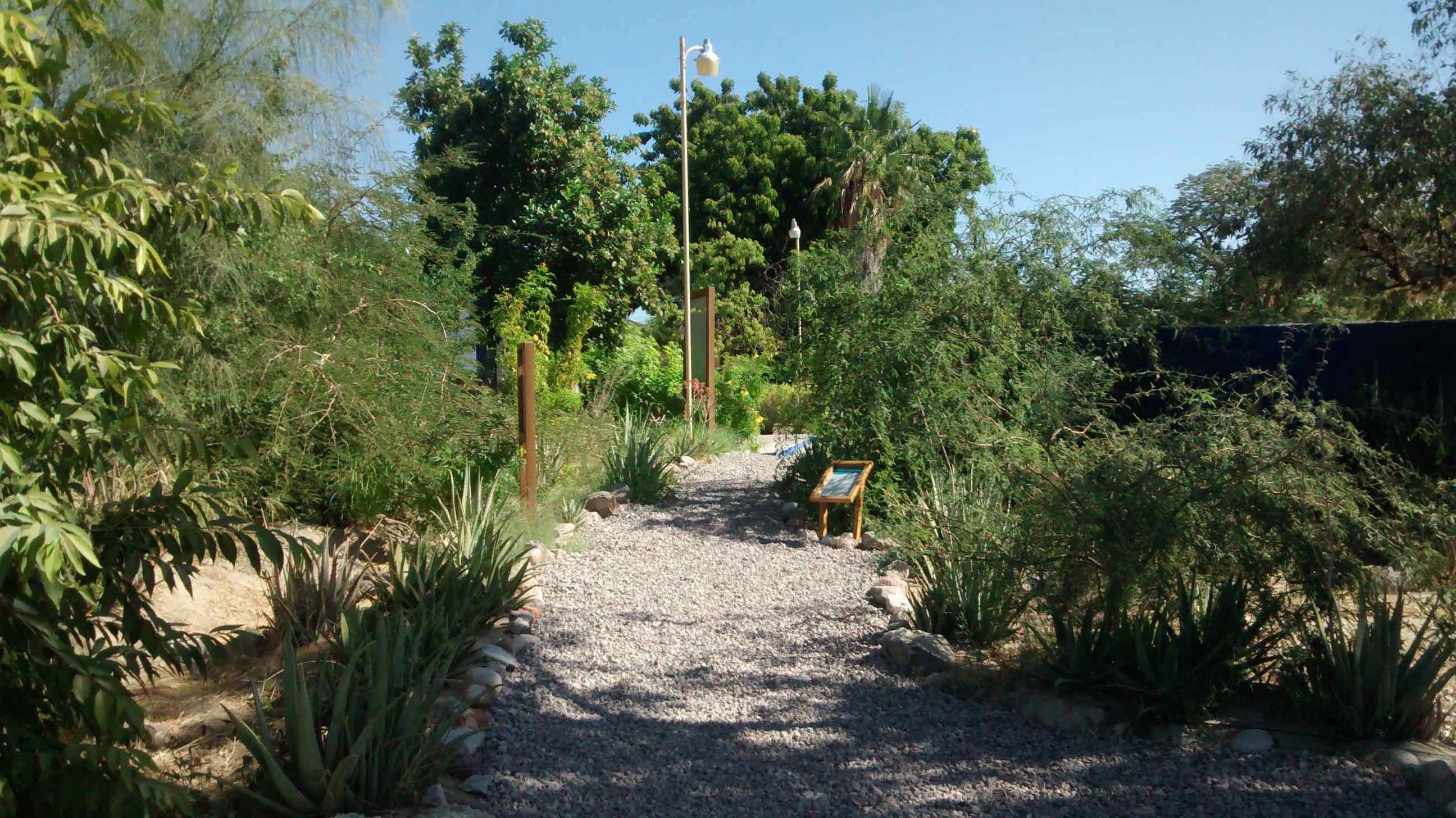 Jardín de cosecha de agua de lluvia