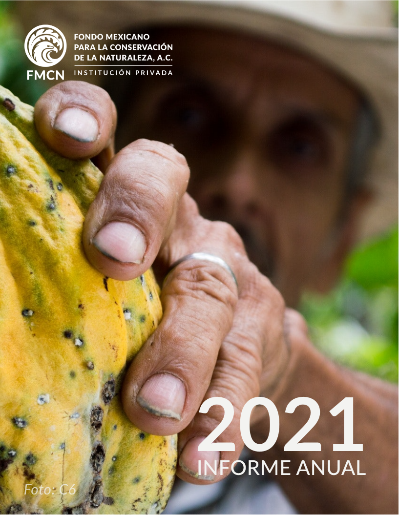 IA 2021 FMCN