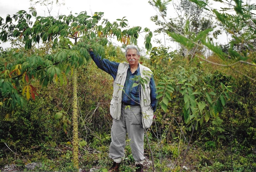 Foto: Roberto Castro