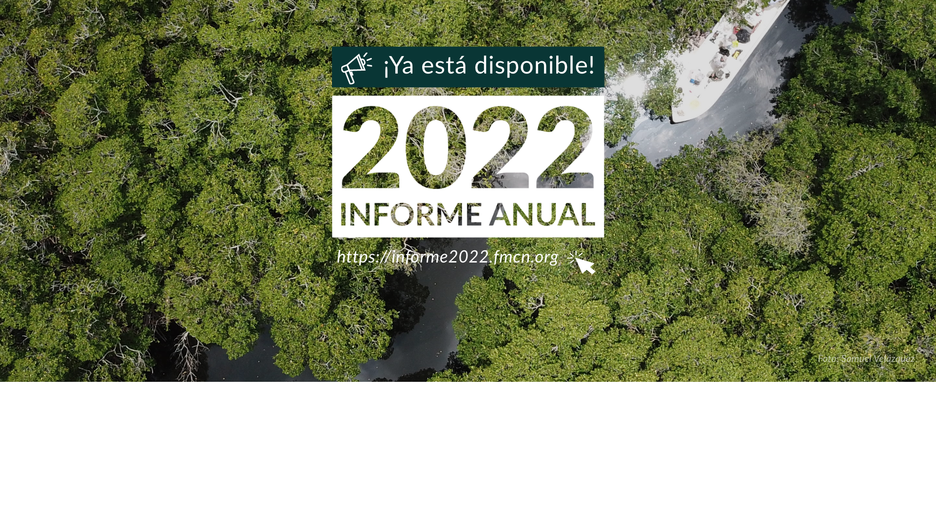 Informe Anual 2022