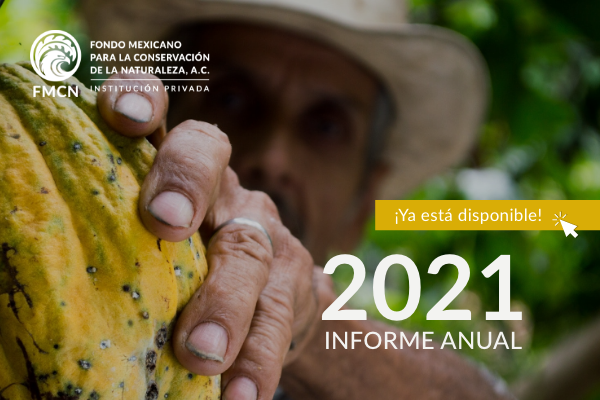 Informe Anual FMCN 2021