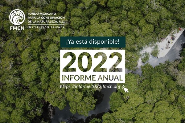 Informe Anual 2022