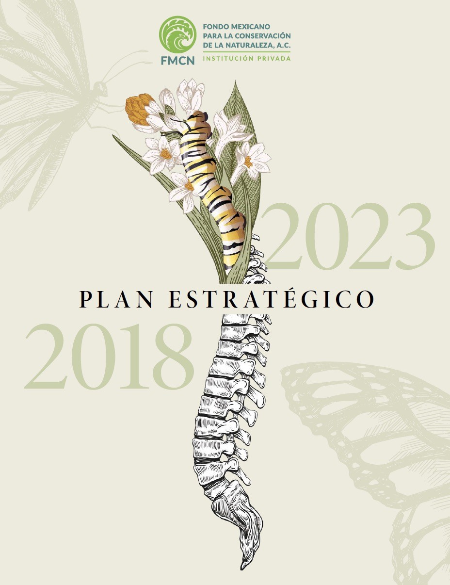  Plan estratégico FMCN 