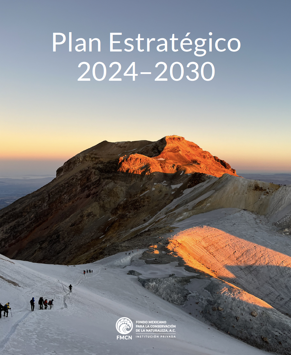  Plan estratégico FMCN 